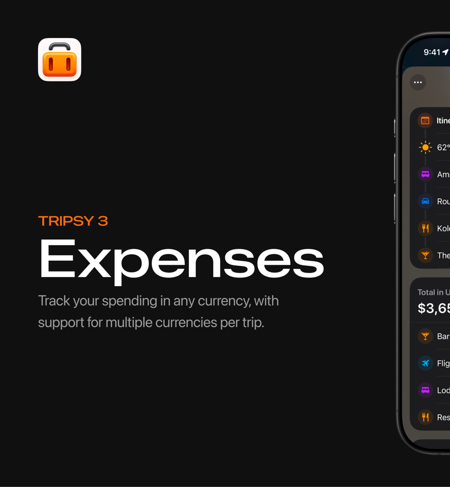 Track your spending in any currency, with support for multiple currencies per trip.